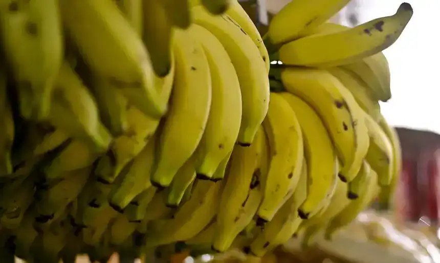 Banana Acre