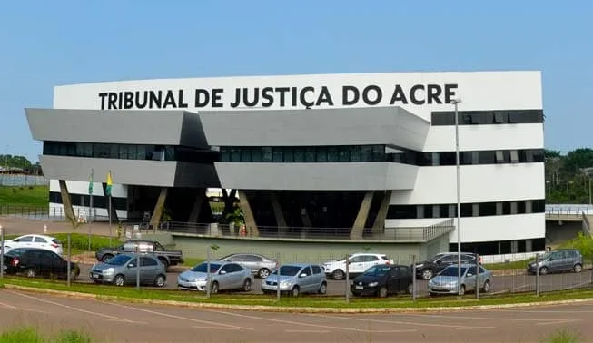 O relator do caso, o desembargador Lois Arruda, considerou em seu voto o princípio do melhor interesse da criança O relator do caso, o desembargador Lois Arruda, considerou em seu voto o princípio do melhor interesse da criança/Foto: TJAC