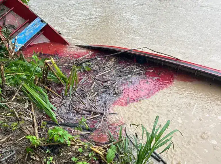 Contaminação do Rio Tarauacá