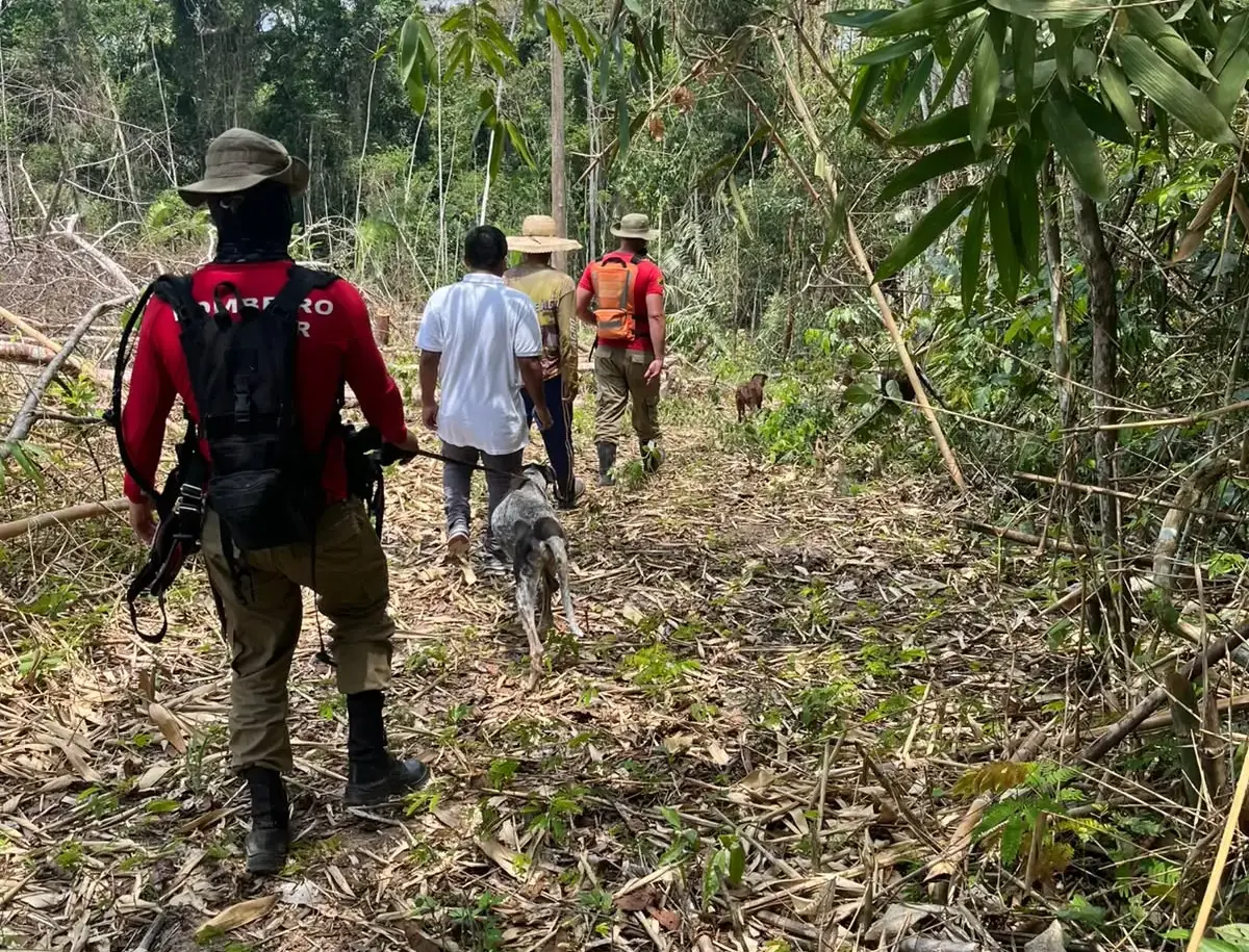 Polícia encontra peças de roupa que podem ser de bebê desaparecida