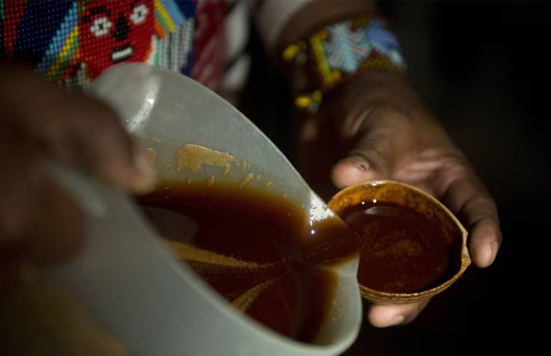 MPF pede novas regras para ayahuasca e alerta para abordagens policiais no Acre