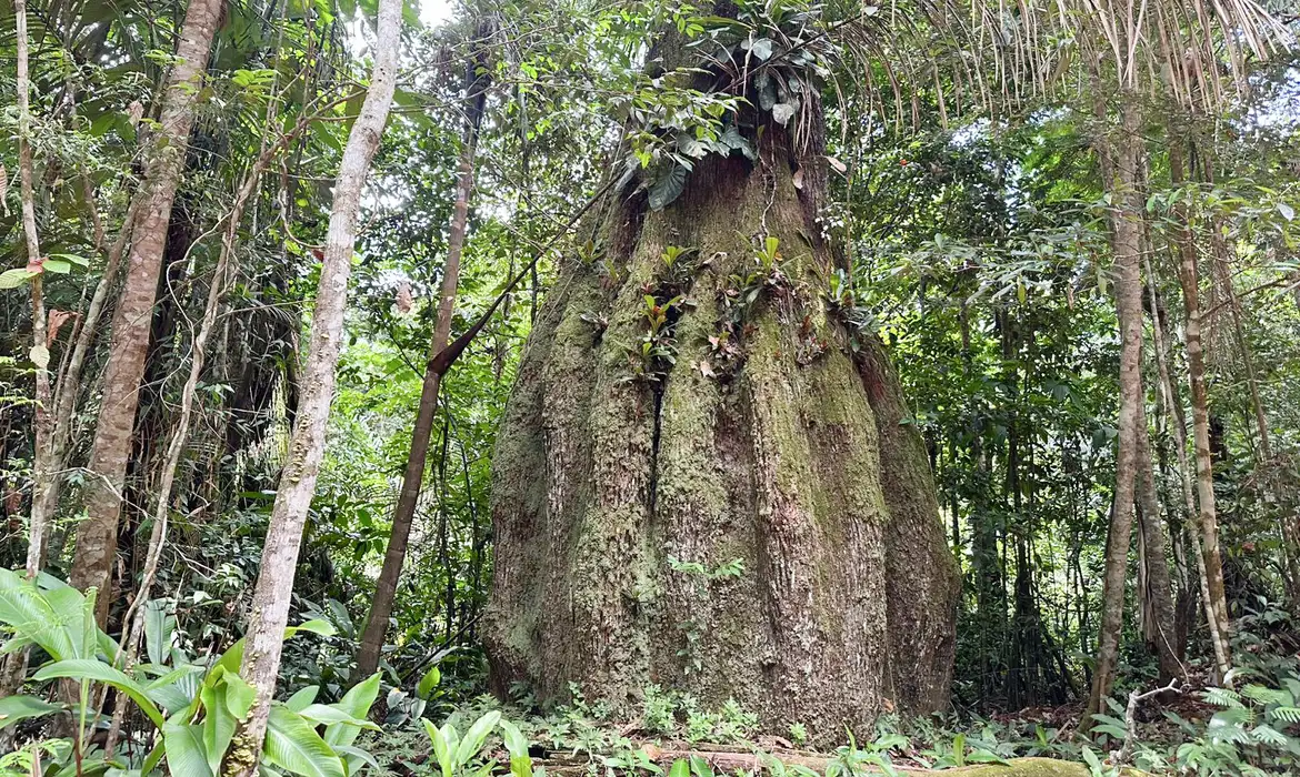 Sete em cada dez parlamentares eleitos têm baixa adesão à agenda ambiental