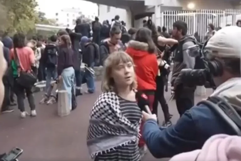 Greta Thunberg se junta a protestos de estudantes por melhorias na educação
