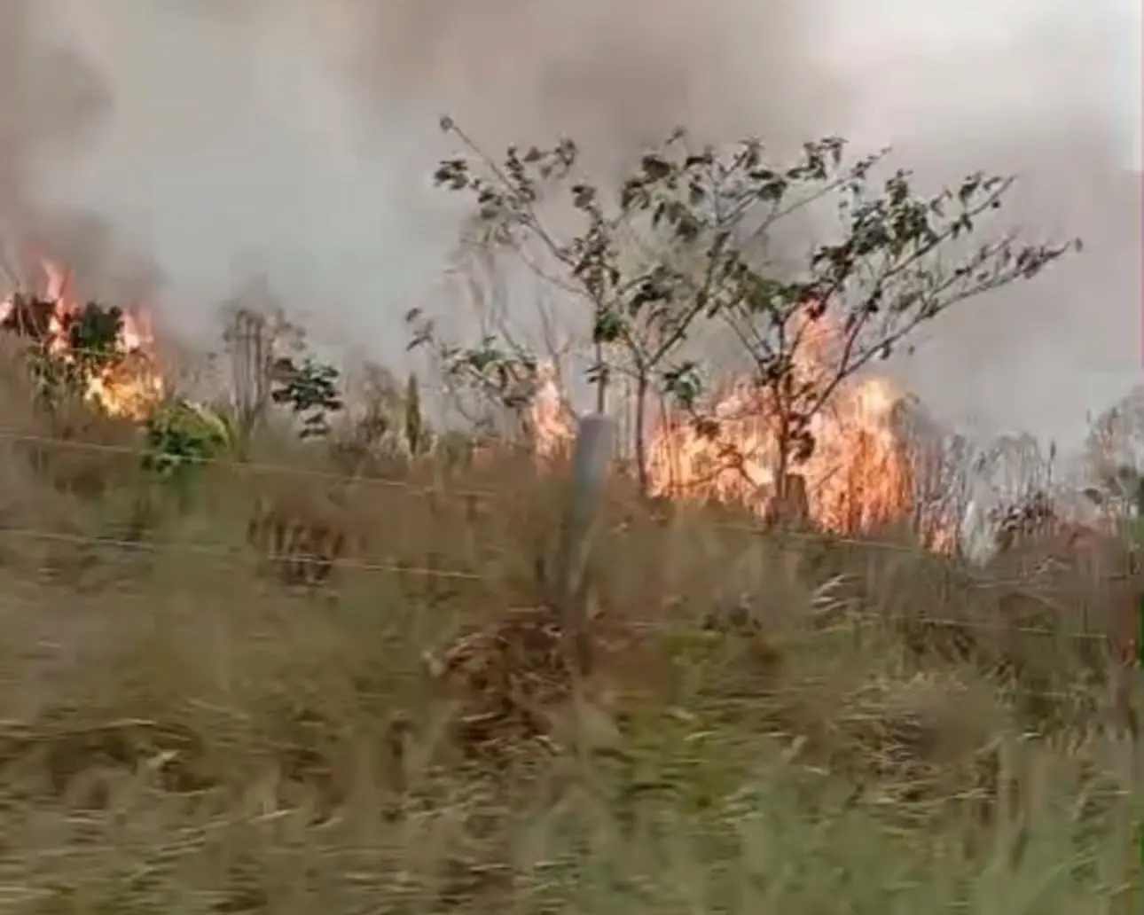 As circunstâncias que provocaram o incêndio deverão ser apuradas posteriormente.
