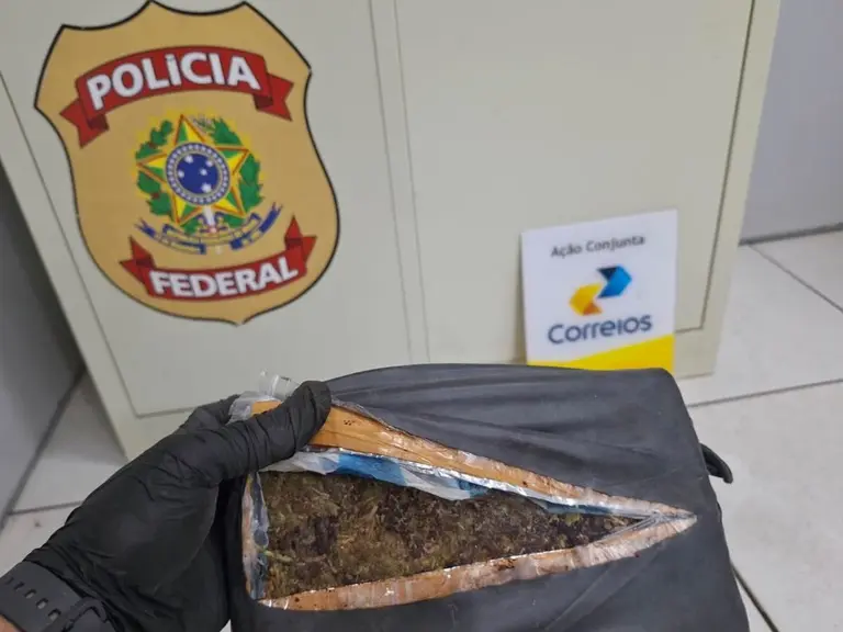 PF encontra mais de 5 kg de maconha em encomenda nos Correios de Rio Branco