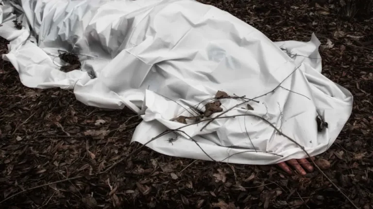 Secretário da Segurança volta a negar atuação de serial killer em 13 mortes investigadas em SP