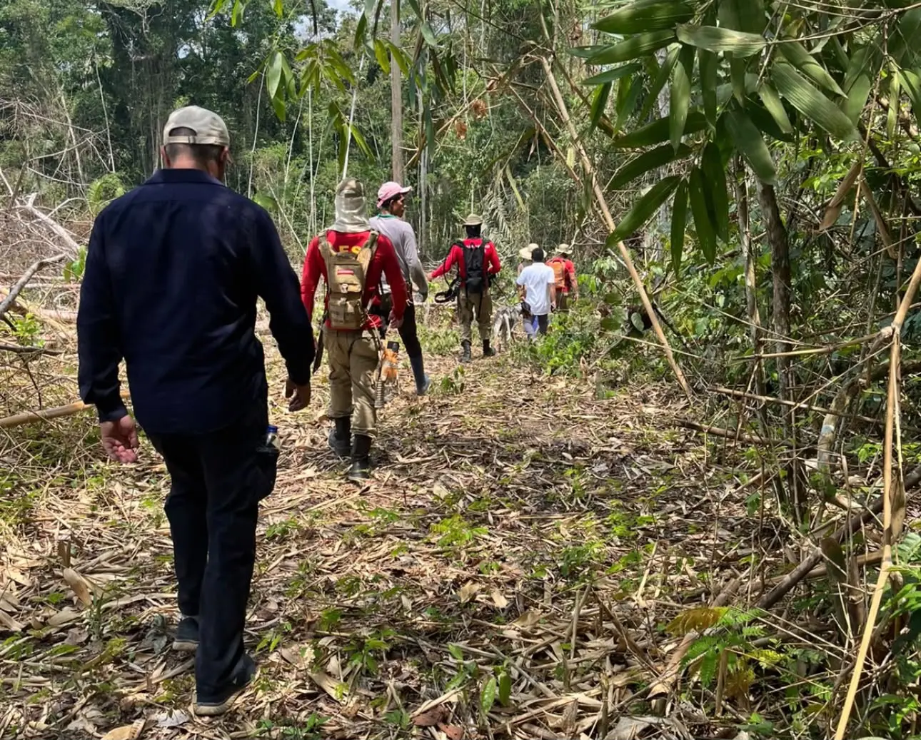 Justiça toma medidas urgentes para proteger irmãos de bebê desaparecida
